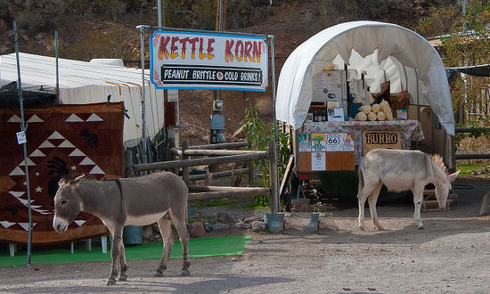 Kettle Korn ... and a couple burros