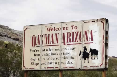 Welcome to Oatman Arizona!