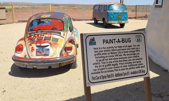 Paint-a-Bug at Meteor City  in Arizona between Winslow and Flagstaff