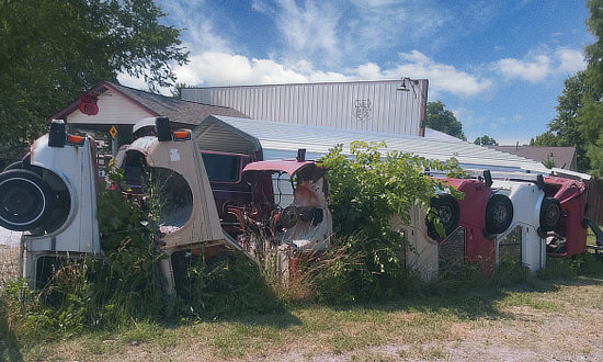 Volkswagon VW cars buried in the ground at Henry's Rabbit Ranch on Route 66 in Staunton, Illinois